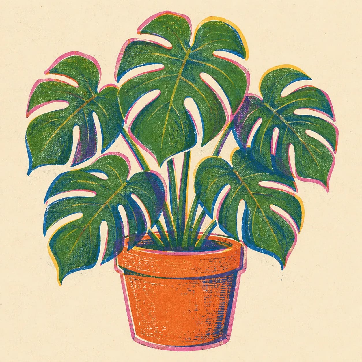 Risograph print of a monstera plant in a terracotta pot