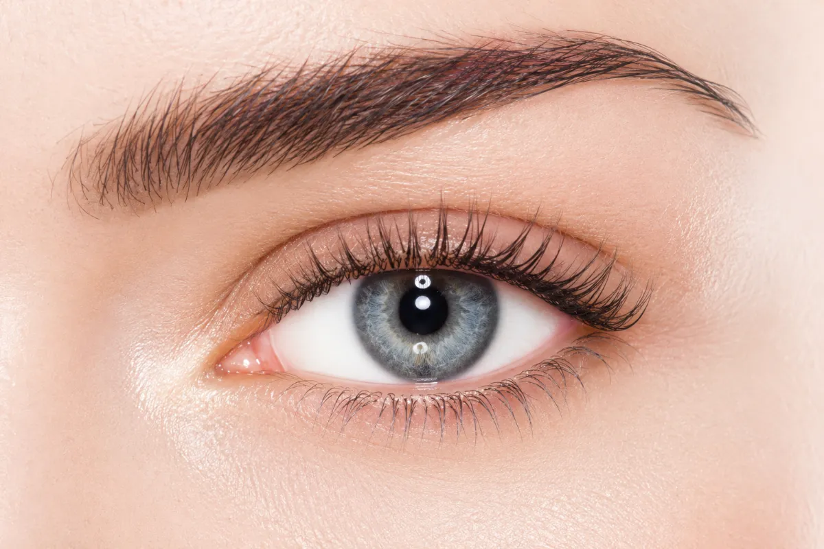 Macro eye and brow